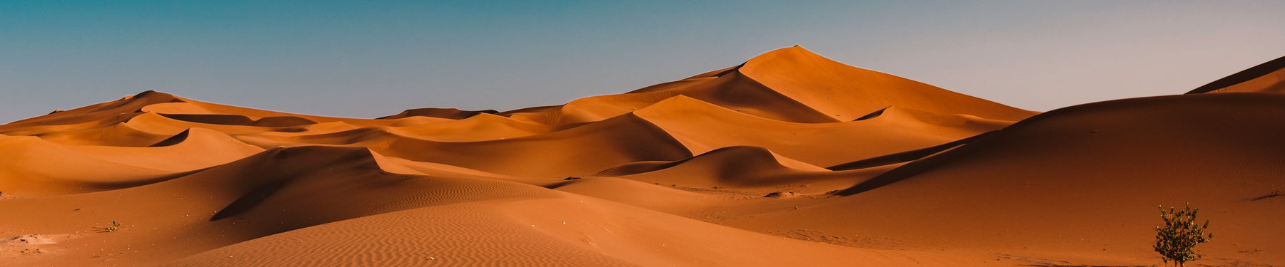 Desierto